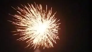 Happy new year at new restaurant. #viral #live #newyear 