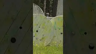 Right in the ponytail #airsoft #dmr #airsoftdmr #airsoftcqb #ssx303 #novritsch