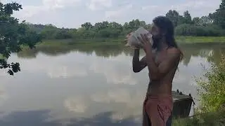 Shellhorn