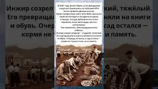 Очередь за пайком превратилась в сад: забытая история 1935 года