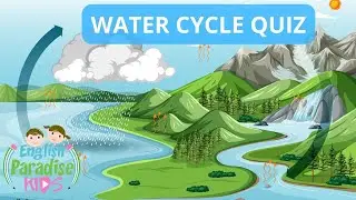 Water Cycle Quiz for Kids