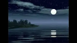 Payasage Po&eacute;tique Musique Zen Bruitage Doux et Apaisant des Vagues Totale Relaxation et D&eacute;tente
