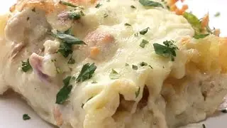 Chicken Alfredo Roll Ups