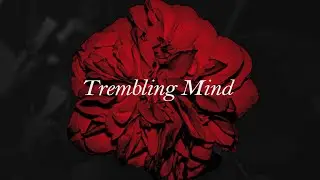 No Permission - Trembling Mind (Official Visualiser)