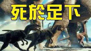 死在世界最大最粗的腳之下是一種什麼樣的體驗？丨黑毛羊駝
