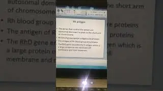 The Rh antigen