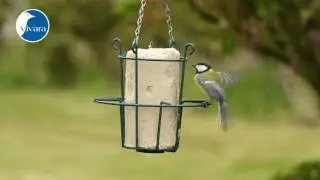 Vivara Pindacakehouder (35000)