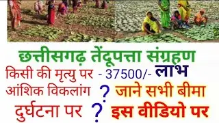 छत्तीसगढ़ तेंदूपत्ता संग्रहण बीमा योजना l tenduptta todai mein Bima Yojana ke Labh scheme
