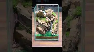 Making a Waterfall Terrarium 🌿