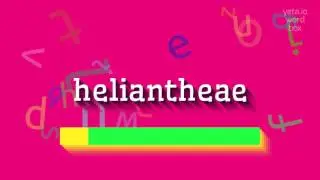 How to say 