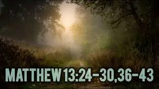 Wheat and Weeds &ndash; Matthew 13:24&ndash;30, 36&ndash;43