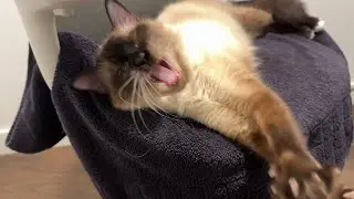 She just fights her sleep.