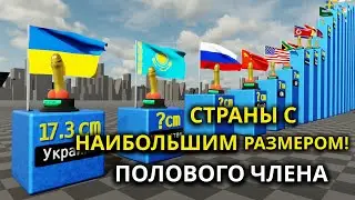 ТОП стран по среднему размеру полового члена