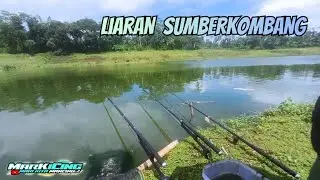 SPEK HEALING NYA KALIPARE‼️|| MANCING NILA DI WADUK KARANGKATES