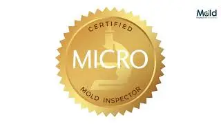 What kind of certification or licensing do mold inspectors need?
