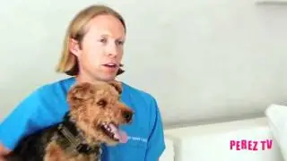 Teddy Hilton and Dr Patrick Mahaney- Pet Car Safety