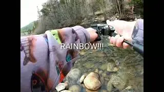 TROUT SLAM #2!!! #bnbbassing #fishing #trout #brown #rainbow #brook #bfscombo #kastking #kestel #fun