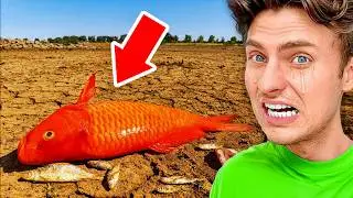 Heat Wave BOILED My Fish Alive!!