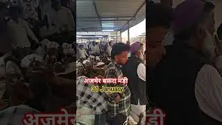 #ajmer #mandi #gujri #got#viral#shrots #video #