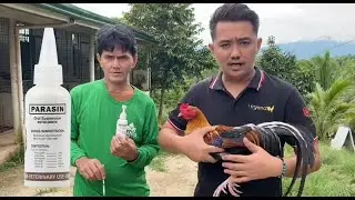 PAMURGA PARASIN DEWORMER / SA HALAGANG 248 PESOS KAYA MO NANG MAGPURGA NG 120 HEADS MONG MANOK