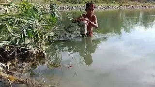 Bottle Fish Trap।Boy Catching Chang Fish in Dry season।Best oil fish।Chang Macher jhol।
