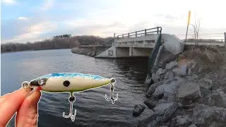 Homemade Shad Jerkbait Build and Catch (Easy Fishing Lure DIY Build)
