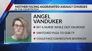 Previously-sentenced Illinois mom changes aggravated battery plea