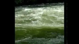 Arapuni