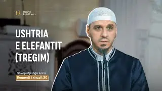 SHK&Euml;PUTJE | Ushtria e elefantit (Tregim) - Enis Rama