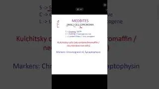 Small Cell Carcinoma in under 60 seconds - MedBites