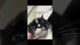 Te amo la mitad de mi vida ❤️