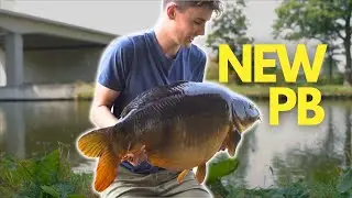 CARP FISHING BELGIUM CANALS 2018
