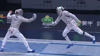 The Physics of Fencing - Applied Dynamics Assignment