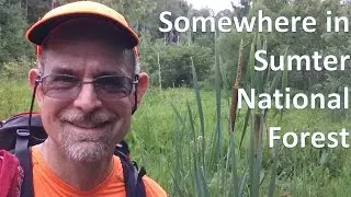 Somewhere in Sumter National Forest