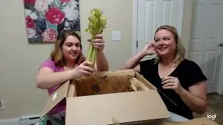 MISFITS MARKET UNBOXING & REVIEW (2020)