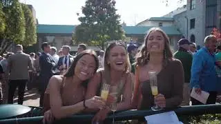 Horse Racing History: Flightline's Win at the Breeders' Cup
