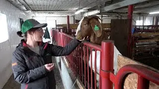 Young Quebec farmers start small because of rising costs
