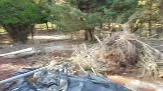 Squirrel Trapping and Damage Repair Somerset County NJ - eliminexnj.com