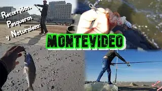 RECORRIDAS, PESQUEROS y NATURALEZA: Montevideo 🎣🐟//Montevideo, Uruguay🌊// Entre ca&ntilde;as y aparejos