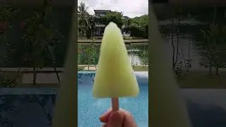 honey melon popsicle#shorts