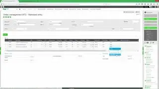 Sage Enterprise Management - Sales Order