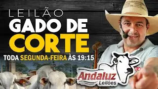 ANDALUZ LEIL&Otilde;ES - LEIL&Atilde;O DE GADO EM GOI&Aacute;S - SEGUNDA -FEIRA I 12/01/2026