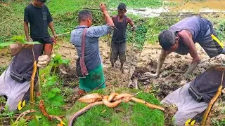 Amazing Best Local People Village Fishing Videos