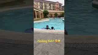 Swimming Finding fish in a pool 🤯 using goggles #play #shorts #playtime