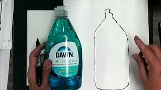 Continuous Line Contour Drawing 1