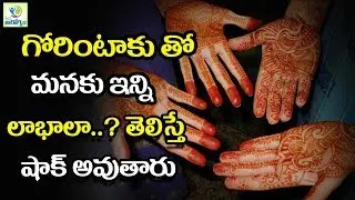 Health Benefits Of gorintaku Mehendi - Mana Arogyam Telugu Health Tips