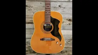 Eko Ranger Vintage 6 Strings Electra 1970's Made in Italy