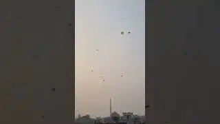 LOHRI STASH 2022