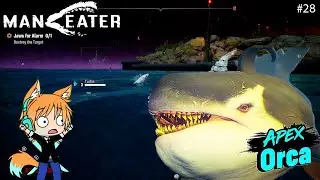 APEX ORCA  l Maneater #28