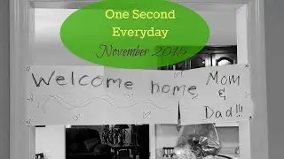 1 Second Everyday - November 2015, LisaNotes